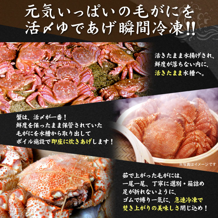 毛蟹（毛ガニ）400g前後×2尾入 送料無料（沖縄宛は別途送料2,200円頂戴いたします）