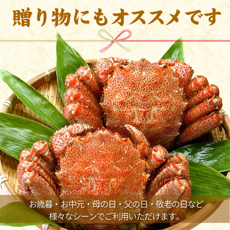 毛蟹（毛ガニ）400g前後×2尾入 送料無料（沖縄宛は別途送料2,200円頂戴いたします）