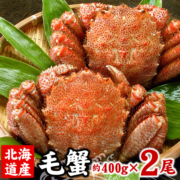 毛蟹（毛ガニ）400g前後×2尾入 送料無料（沖縄宛は別途送料2,200円頂戴いたします）