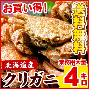 北海道産 クリガニ（クリ毛ガニ）約4kg（約20-24尾前後入り）クリ毛蟹 クリ毛がに クリけがに 蟹 カニ かに ギフト 送料無料（沖縄宛は別途送料2,200円頂戴いたします）