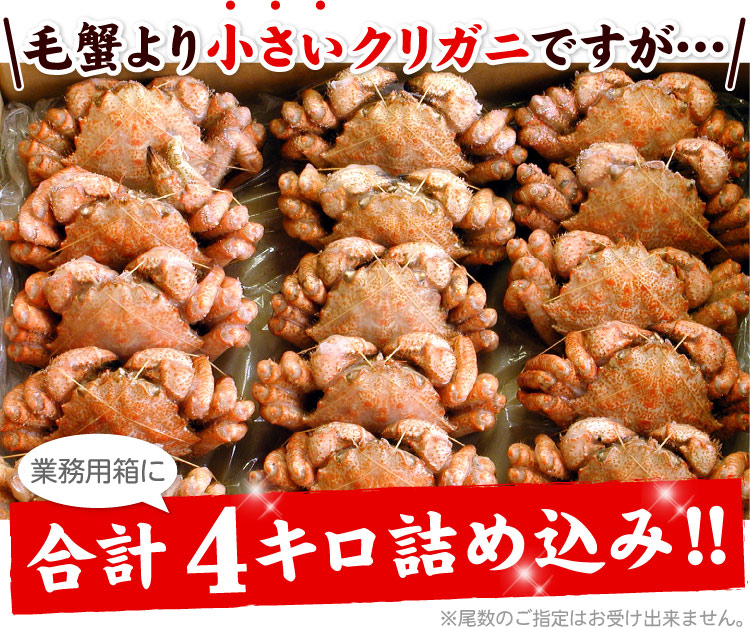 北海道産 クリガニ（クリ毛ガニ）約4kg（約20-24尾前後入り）クリ毛蟹 クリ毛がに クリけがに 蟹 カニ かに ギフト 送料無料（沖縄宛は別途送料2,200円頂戴いたします）