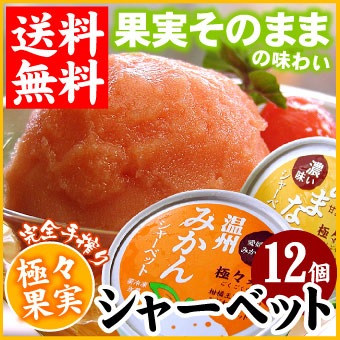 極々果実シャーベット12個セット 送料無料(沖縄宛は別途送料2,200円頂戴いたします)