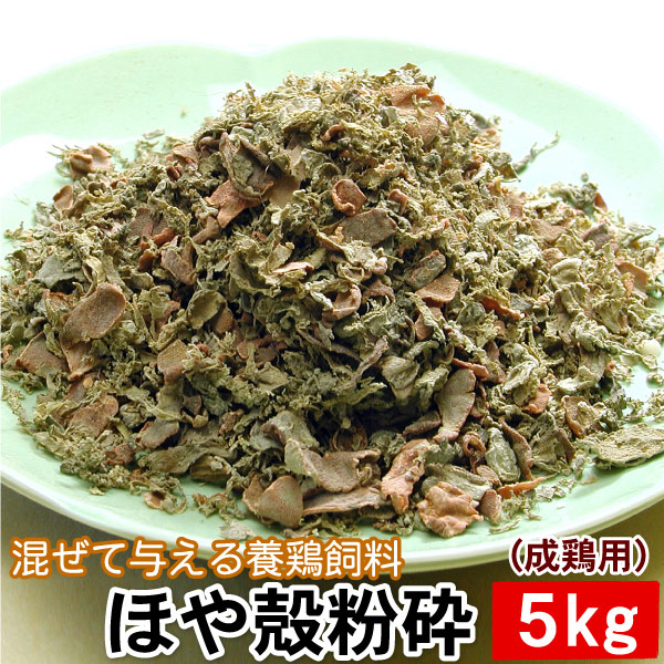 混ぜて与える養鶏飼料 ほや殻粉砕（成鶏用） 5キロ 混ぜて与える養鶏飼料 ほやからふんさい 鶏卵色調 筋胃増大 家禽 吉田水産 センウロコ 送料無料（沖縄宛は別途送料1,100円頂戴いたします）