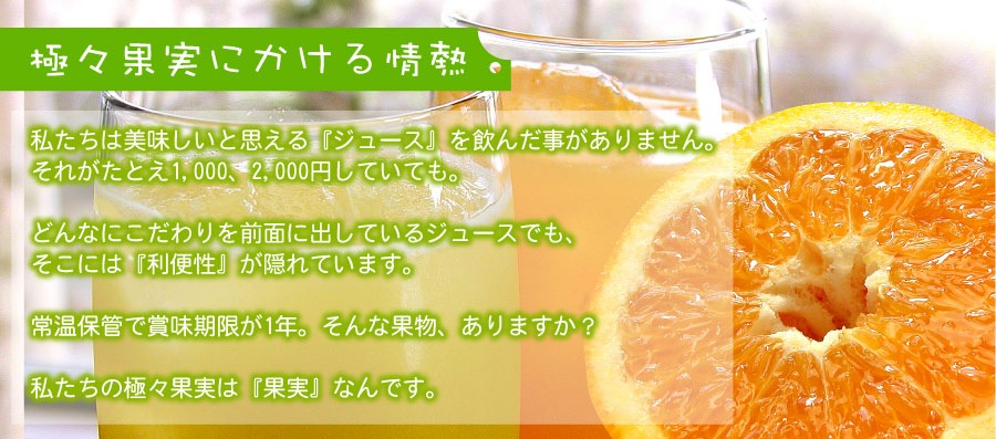 極々果実ちゅうちゅうゼリー10個セット 送料無料（沖縄宛は別途送料1,100円頂戴いたします）