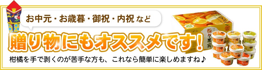 極々果実ちゅうちゅうゼリー10個セット 送料無料（沖縄宛は別途送料1,100円頂戴いたします）