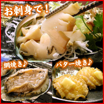 蝦夷あわび　500g（7～10個入） アワビ 鮑 送料無料（沖縄宛は別途送料2,200円頂戴いたします）