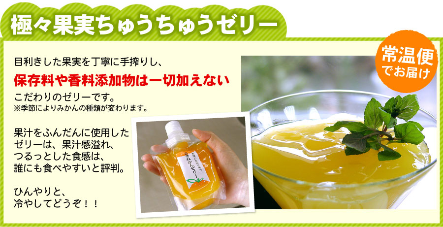 極々果実ちゅうちゅうゼリー20個セット 送料無料（沖縄宛は別途送料1,100円頂戴いたします）