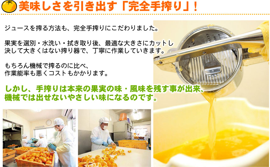 極々果実シャーベット12個セット 送料無料(沖縄宛は別途送料2,200円頂戴いたします)
