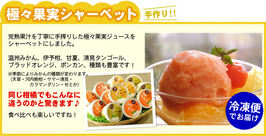 極々果実シャーベット12個セット 送料無料(沖縄宛は別途送料2,200円頂戴いたします)