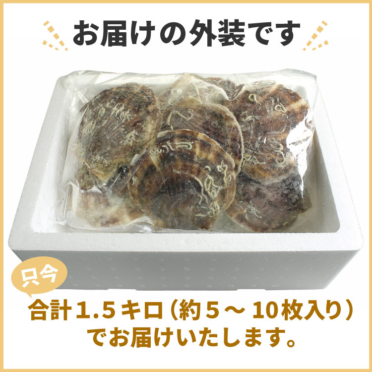 殻付き 北海道産 ホタテ 帆立 ほたて貝 合計1.5kg（無選別） 訳あり ギフト お歳暮 お中元 北海道産 海鮮バーベキュー（BBQ）にオススメ♪ 送料無料（沖縄宛は別途送料を加算）