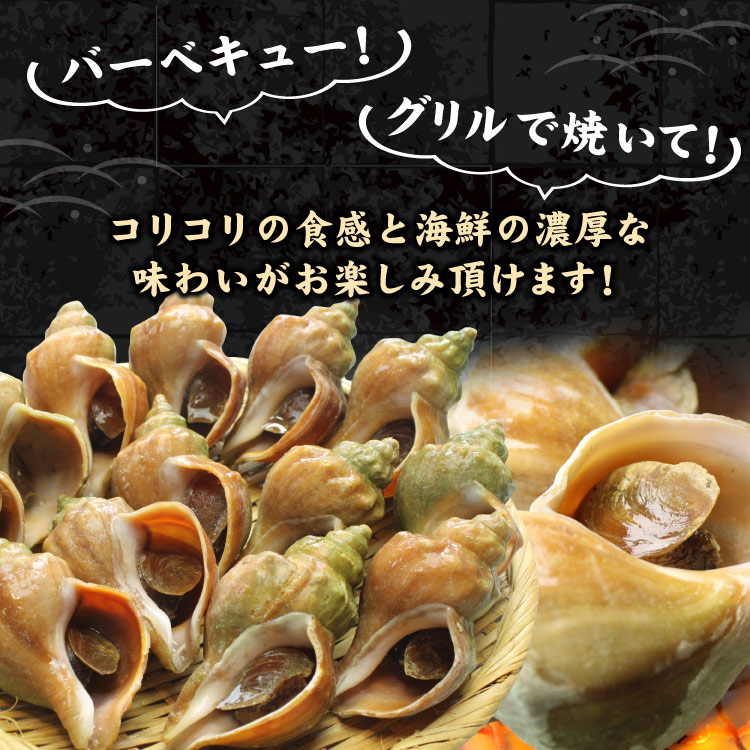 「北海道産」つぶ貝 青つぶ 殻付き 1kg （下処理・下茹で済） ボイル 冷凍 ツブ 海鮮 BBQ バーベキュー 浜焼き 殻焼き 食材 送料無料（沖縄宛は別途送料を加算）