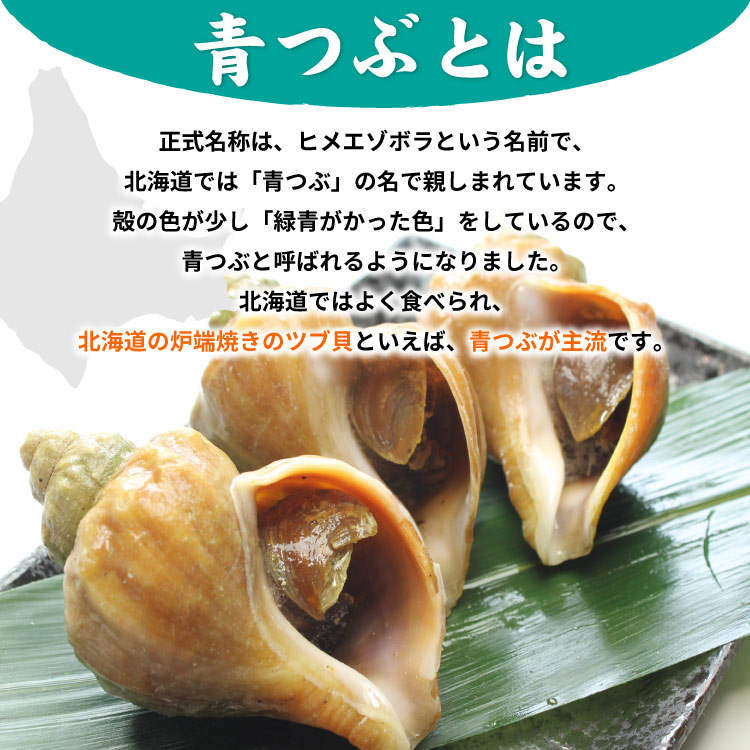 「北海道産」つぶ貝 青つぶ 殻付き 1kg （下処理・下茹で済） ボイル 冷凍 ツブ 海鮮 BBQ バーベキュー 浜焼き 殻焼き 食材 送料無料（沖縄宛は別途送料を加算）