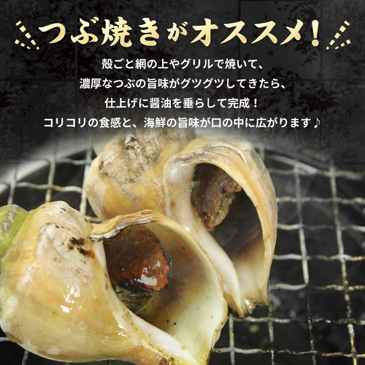 「北海道産」つぶ貝 青つぶ 殻付き 1kg （下処理・下茹で済） ボイル 冷凍 ツブ 海鮮 BBQ バーベキュー 浜焼き 殻焼き 食材 送料無料（沖縄宛は別途送料を加算）