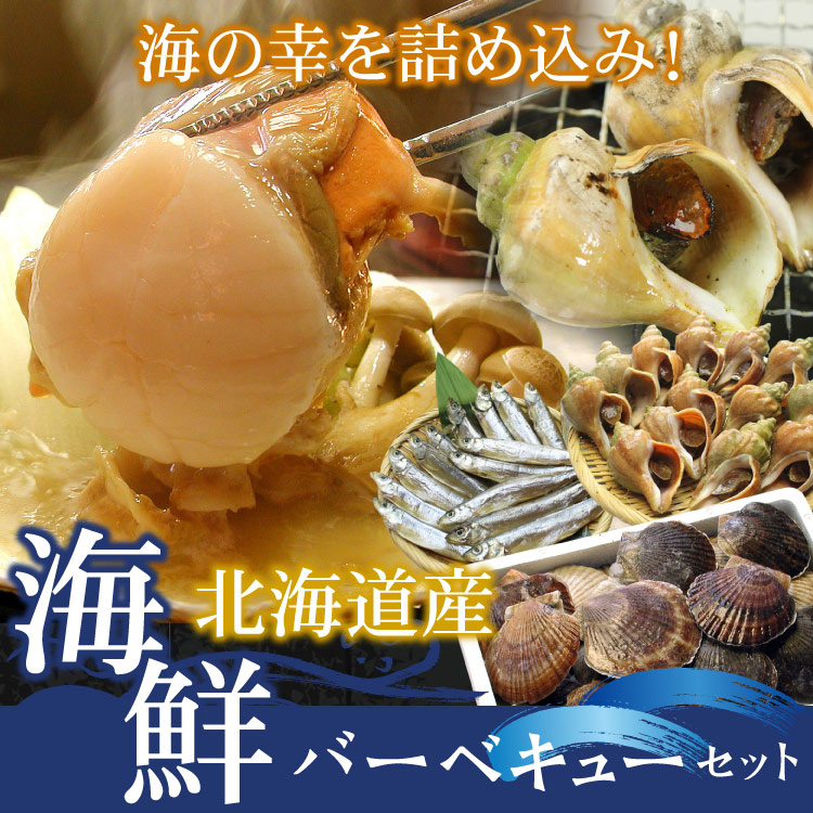 「オマケ付き」北海道産 海鮮バーベキュー セット 合計3kg（殻付ホタテ貝・青つぶ貝）冷凍 海鮮BBQセット 貝焼き ツブ 食材 ギフト 浜焼き 殻焼き キャンプ バーベキューセット GW 送料無料（沖縄宛は別途送料を加算）