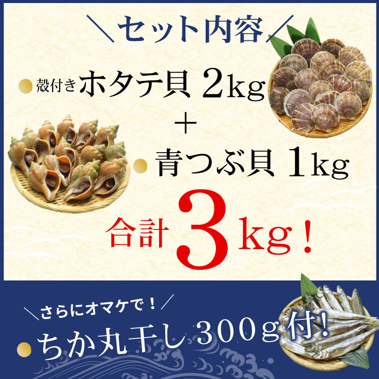 「オマケ付き」北海道産 海鮮バーベキュー セット 合計3kg（殻付ホタテ貝・青つぶ貝）冷凍 海鮮BBQセット 貝焼き ツブ 食材 ギフト 浜焼き 殻焼き キャンプ バーベキューセット GW 送料無料（沖縄宛は別途送料を加算）