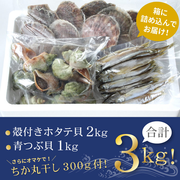 「オマケ付き」北海道産 海鮮バーベキュー セット 合計3kg（殻付ホタテ貝・青つぶ貝）冷凍 海鮮BBQセット 貝焼き ツブ 食材 ギフト 浜焼き 殻焼き キャンプ バーベキューセット GW 送料無料（沖縄宛は別途送料を加算）