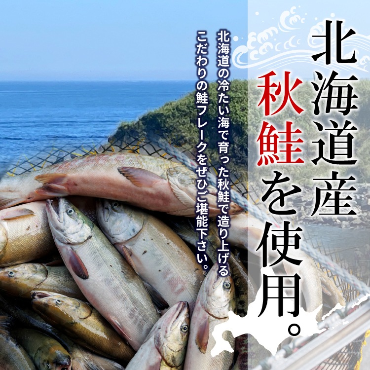 北海道産 鮭フレーク 業務用 たっぷり 1kg  北海道産秋鮭使用  小林商店 大容量 さけ サケ 送料無料（沖縄宛は別途送料を加算）
