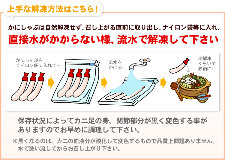 カニ生食可 大-中サイズ 本ずわい蟹 かにしゃぶ 合計1kg入 ズワイガニ ズワイ蟹 カニ ポーション 海鮮 送料無料（沖縄宛は別途送料を加算）
