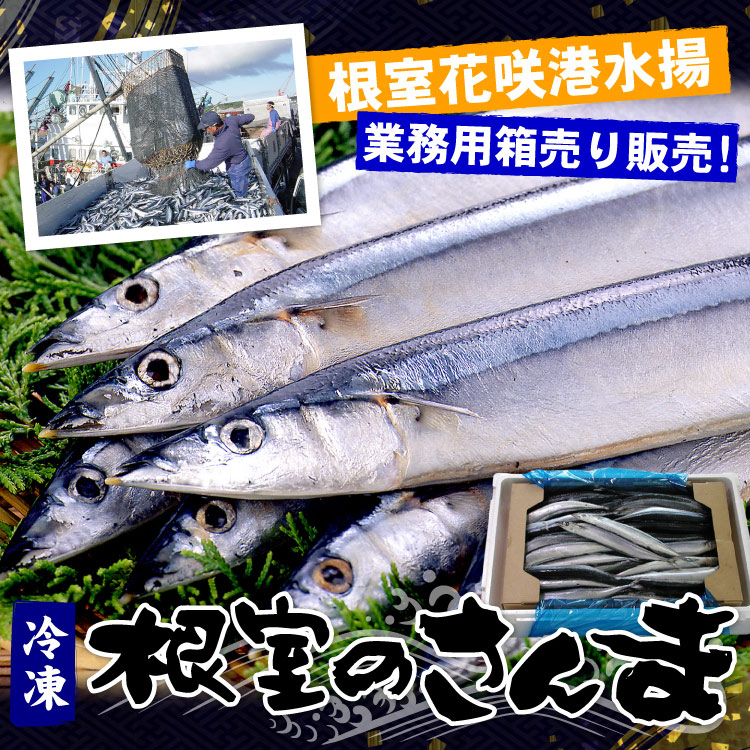 「冷凍品」2025年度産 サンマ 根室産 秋刀魚 業務用 合計10kg(約65-80尾入) 生冷凍 北海道産 さんま 焼き魚 訳あり