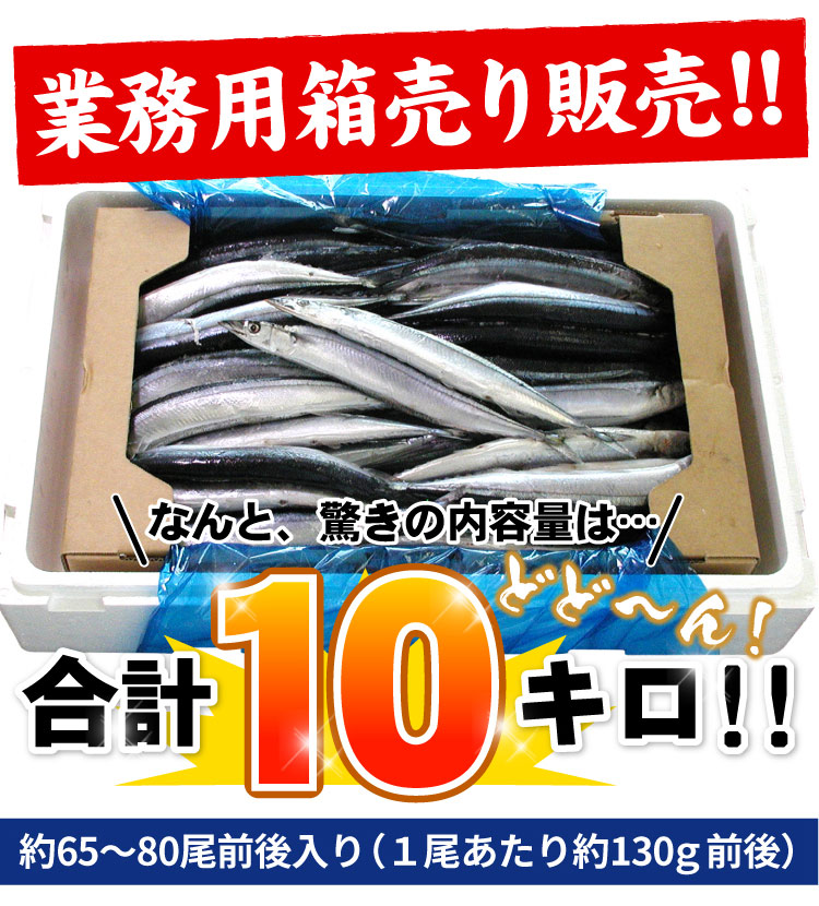 「冷凍品」2025年度産 サンマ 根室産 秋刀魚 業務用 合計10kg(約65-80尾入) 生冷凍 北海道産 さんま 焼き魚 訳あり