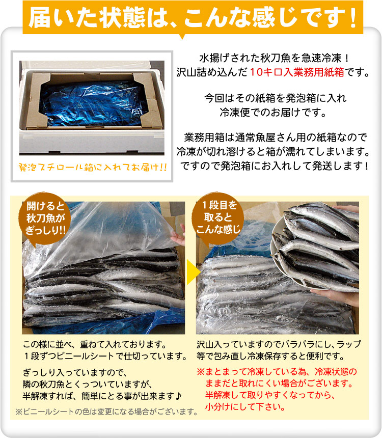 「冷凍品」2025年度産 サンマ 根室産 秋刀魚 業務用 合計10kg(約65-80尾入) 生冷凍 北海道産 さんま 焼き魚 訳あり