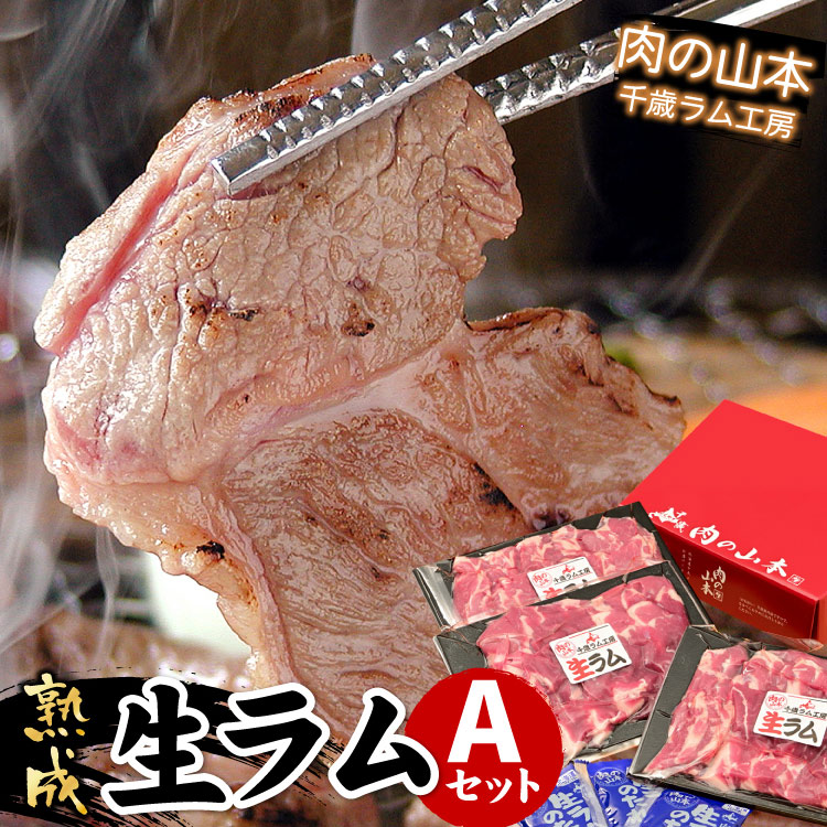 生ラムＡセット(冷凍)600g(焼肉・ジンギスカン)【千歳ラム工房】【北海道　肉の山本】