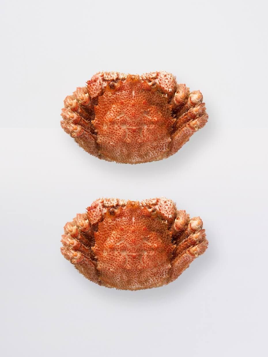 北海道産ボイル毛がに500g ※Kani-to特製かに酢付き