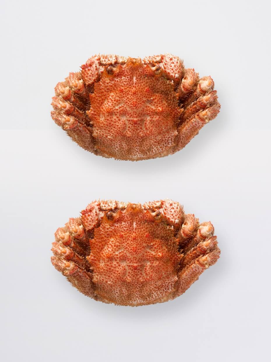 北海道産大型ボイル毛がに800g ※Kani-to特製かに酢付き