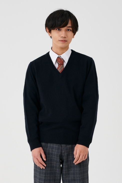 ロイヤルクレストネクタイ エンジ グリーン / HANECTONE