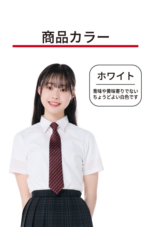 【ノーアイロン】 半袖シャツ 3枚組 / KANKO Harajuku Select