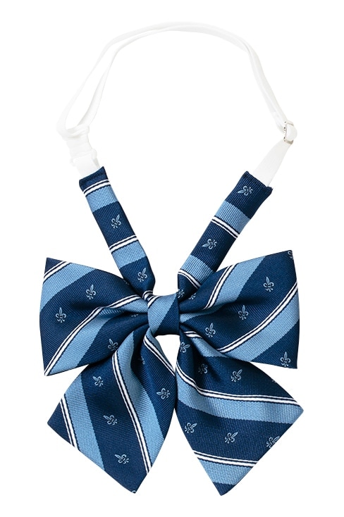 レジメンタルリボン / MICHEL KLEIN Scolaire