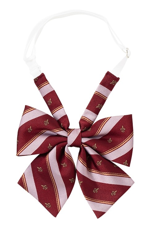 レジメンタルリボン / MICHEL KLEIN Scolaire