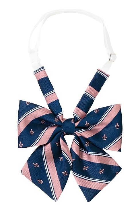 レジメンタルリボン / MICHEL KLEIN Scolaire