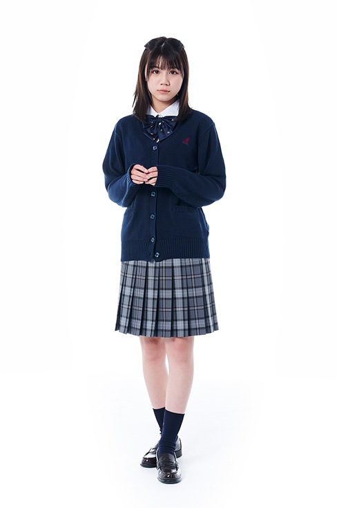 グレーのチェックプリーツスカート（オーダー制服）通販の