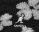 KANGOL�����󥴡��롡Floral Fleece Beanie���ե������ �ե꡼�� �ӡ��ˡ���˹�� �˥å� �֥�å�/�ۥ磻��