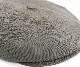 KANGOL�����󥴡��롡Bamboo Hawker���Х�֡����ۥ�����������å�