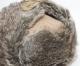 KANGOL　カンゴール　トラッパーキャップ　WOOL USHANKA　ウール　ウシャーンカ　キャメル
