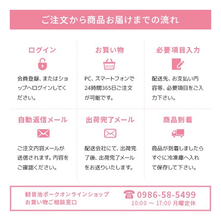 送料無料　観音池ポークのナイスミートパックver7　お一人様2個限り