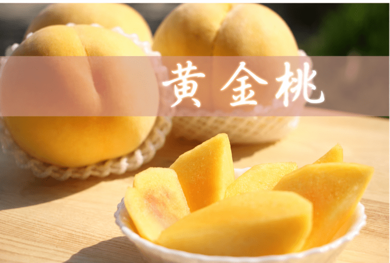 完熟梅（梅干し・梅酒用）｜和歌山の梅｜梅干し用の梅
