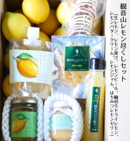 レモン檸檬れもん!レモン尽くし7点セット!(送料無料)