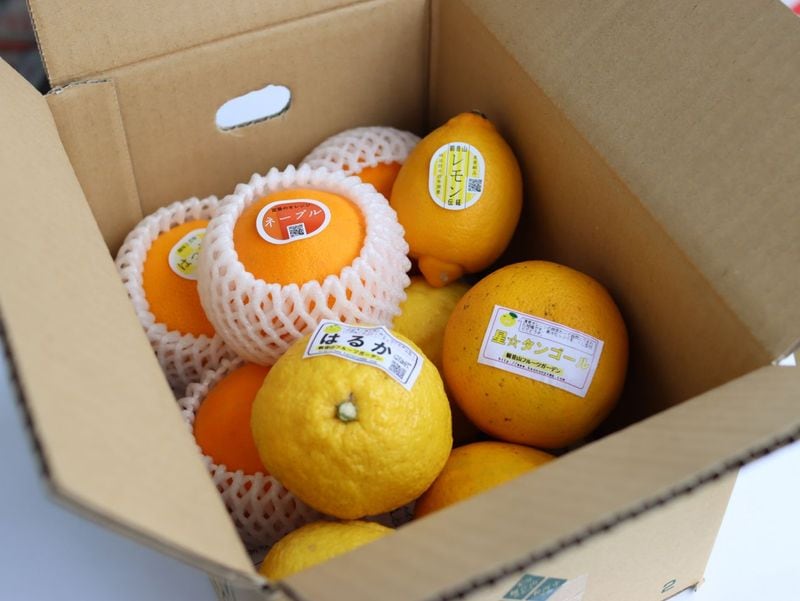 みかんサイダー（みかん農園サイダー）和歌山県産みかん果汁51％入り