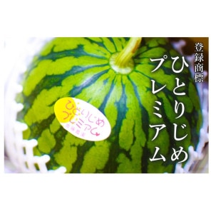 【フルーツギフト】紅小玉濃甘スイカ(和歌山県プレミアムひとりじめ)送料無料!