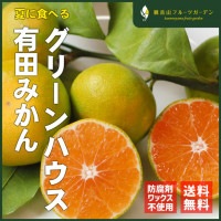 グリーンハウス有田みかん