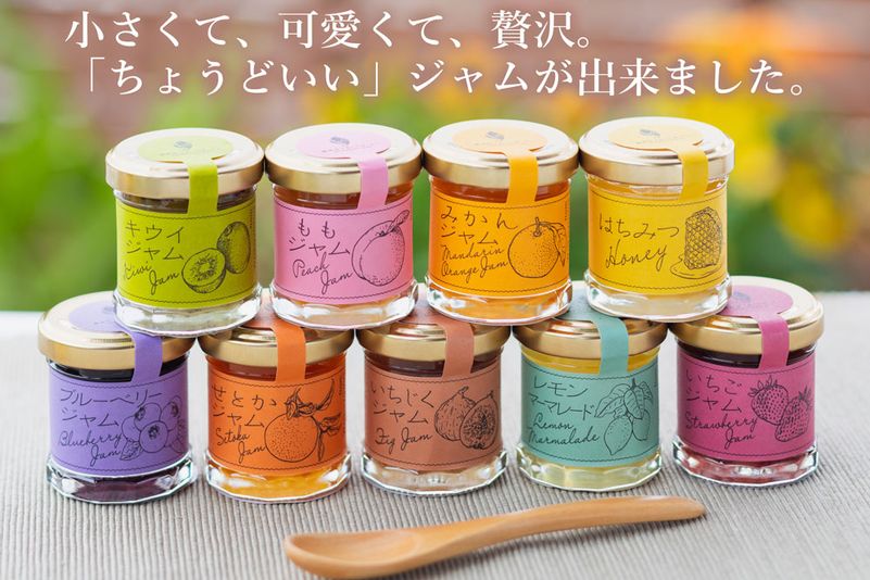 果物語プレミアムコレクション（果物ジャムとはちみつの９種の小...