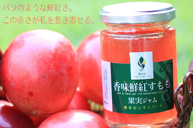 新鮮 多数 すもも 3KG 楽天市場】すもも（総重量（果物）3.00 ～ 3.99kg）の通販