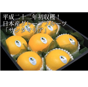 ネーブルオレンジ　生写真　7種コンプセット 61yScyWAuaL.jpg_BO30,255,255,