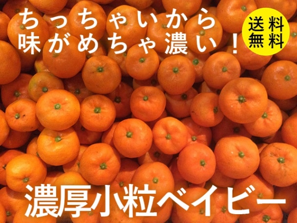 みかんギフト トリプルミカンプレミアムセット 和歌山県和歌山