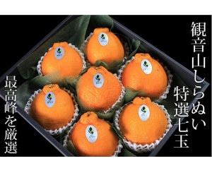 kazuharu　みかん7はるか3ぽんかん2 kazuharu みかん7はるか3ぽんかん2 楽天市場】柑橘 はるかの通販