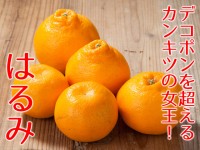 観音山はるみ(健やかに:A級品)4-9月クール便+200円
