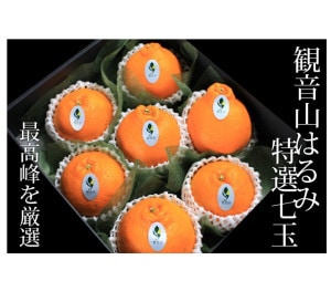 【フルーツギフト】観音山はるみ（特選）　送料無料！4-8月ｸｰﾙ便